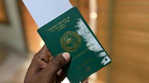 Nigerian Immigration Services